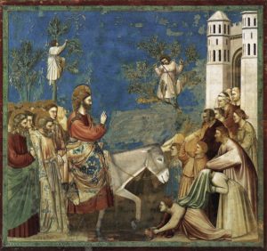 giotto15